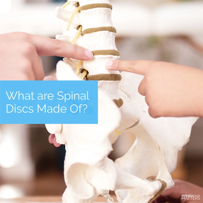 What are Spinal Discs In Springfield IL Made of?